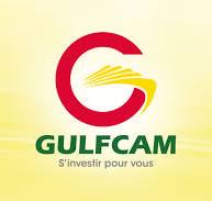 logo gulfcam